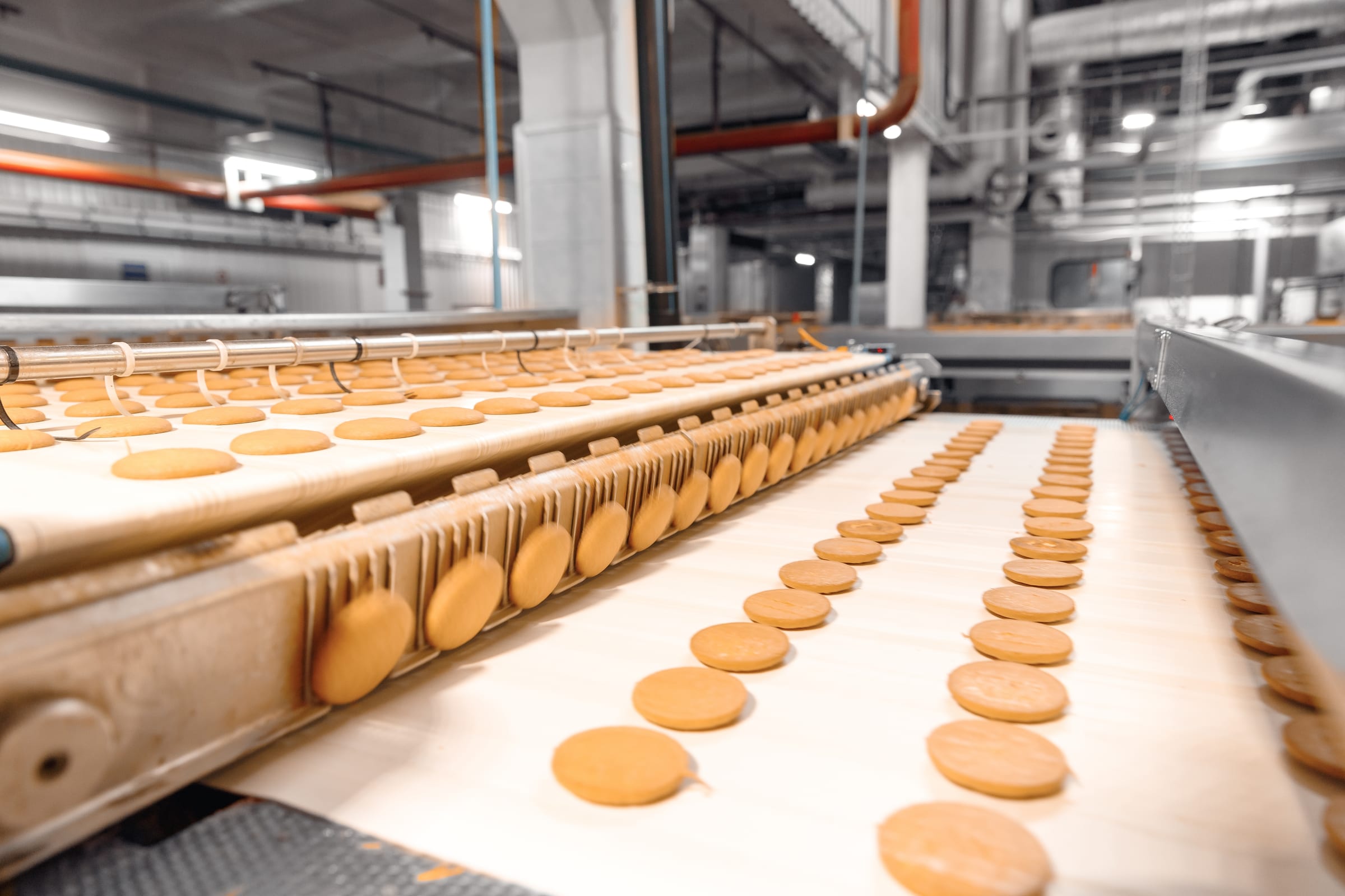 Food Production